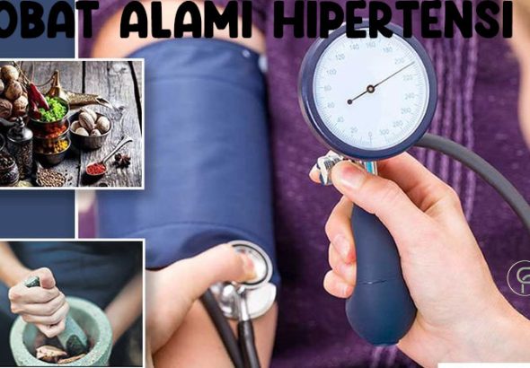 obat alami hipertensi